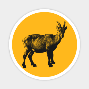 Alpine ibex Magnet